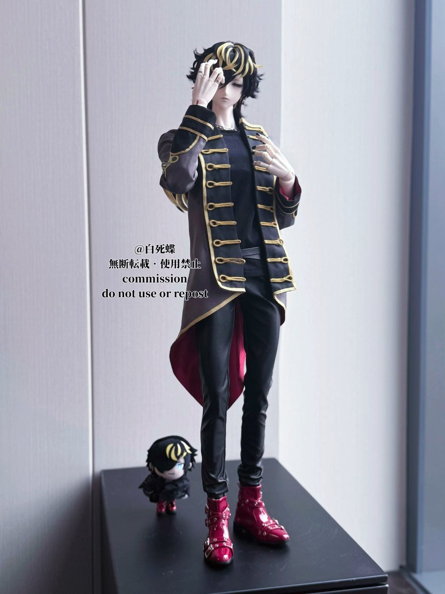 白死蝶 tweet media