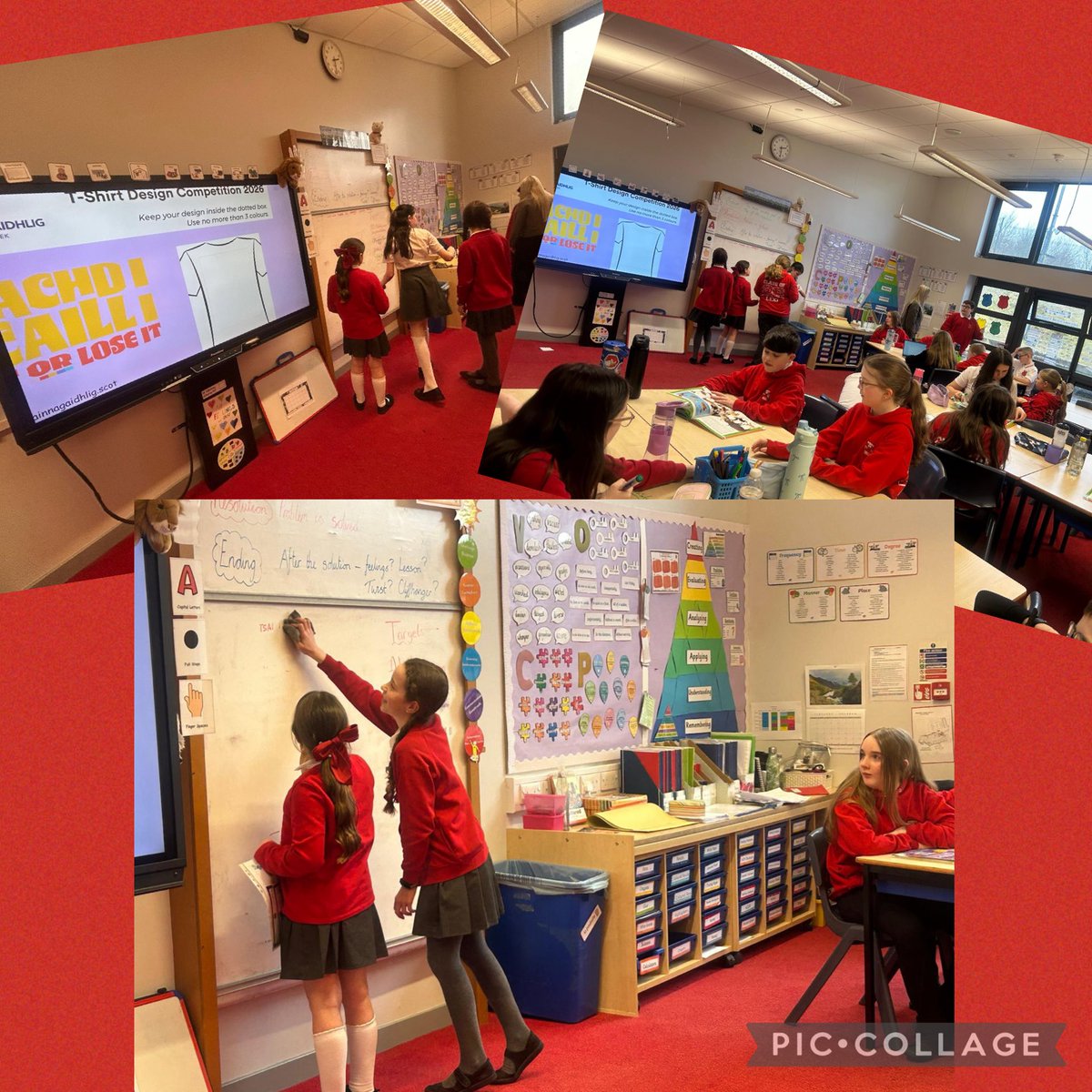 Mrs Alexander P7 🧡 tweet media