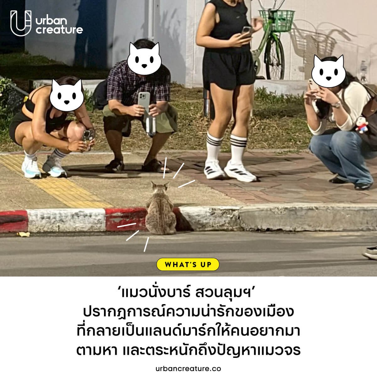 ไปดูปรากฏการณ์ความน่ารักของเมืองผ่าน 'แมวนั่งบาร์ สวนลุมฯ' ที่นำไปสู่การสร้างแลนด์มาร์กอย่างไม่เป็นทางการให้พื้นที่นั้นๆ ด้วยสิ่งมีชีวิตเล็กๆ ที่สร้างความรู้สึกร่วม ขณะเดียวกัน ยังทำให้เกิดการรับรู้ในชั้นถัดมาที่เชื่อมโยงไปสู่ประเด็นสังคมกับบริบทพื้นที่สาธารณะที่รัฐควบคุมดูแล