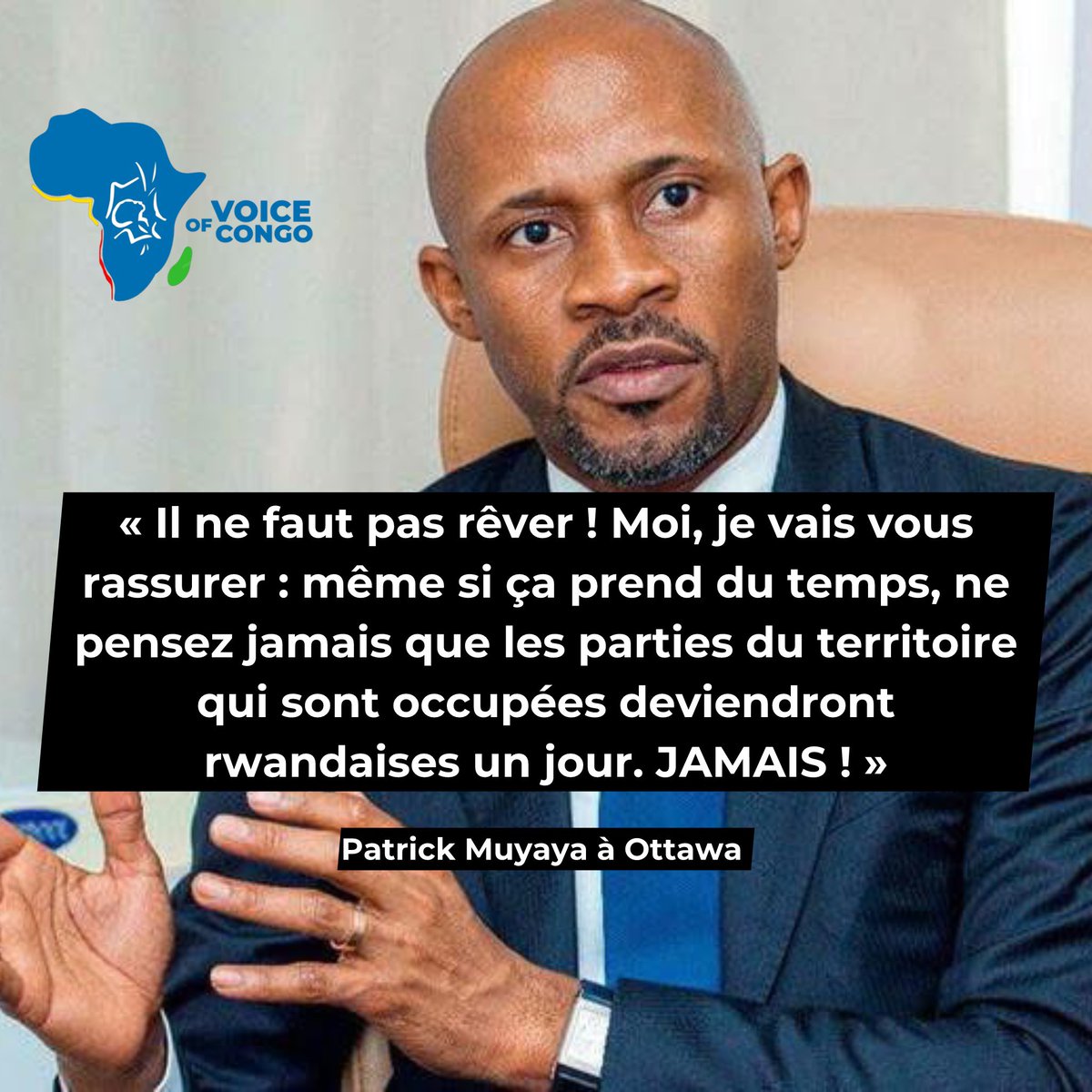 The Voice Of Congo tweet media