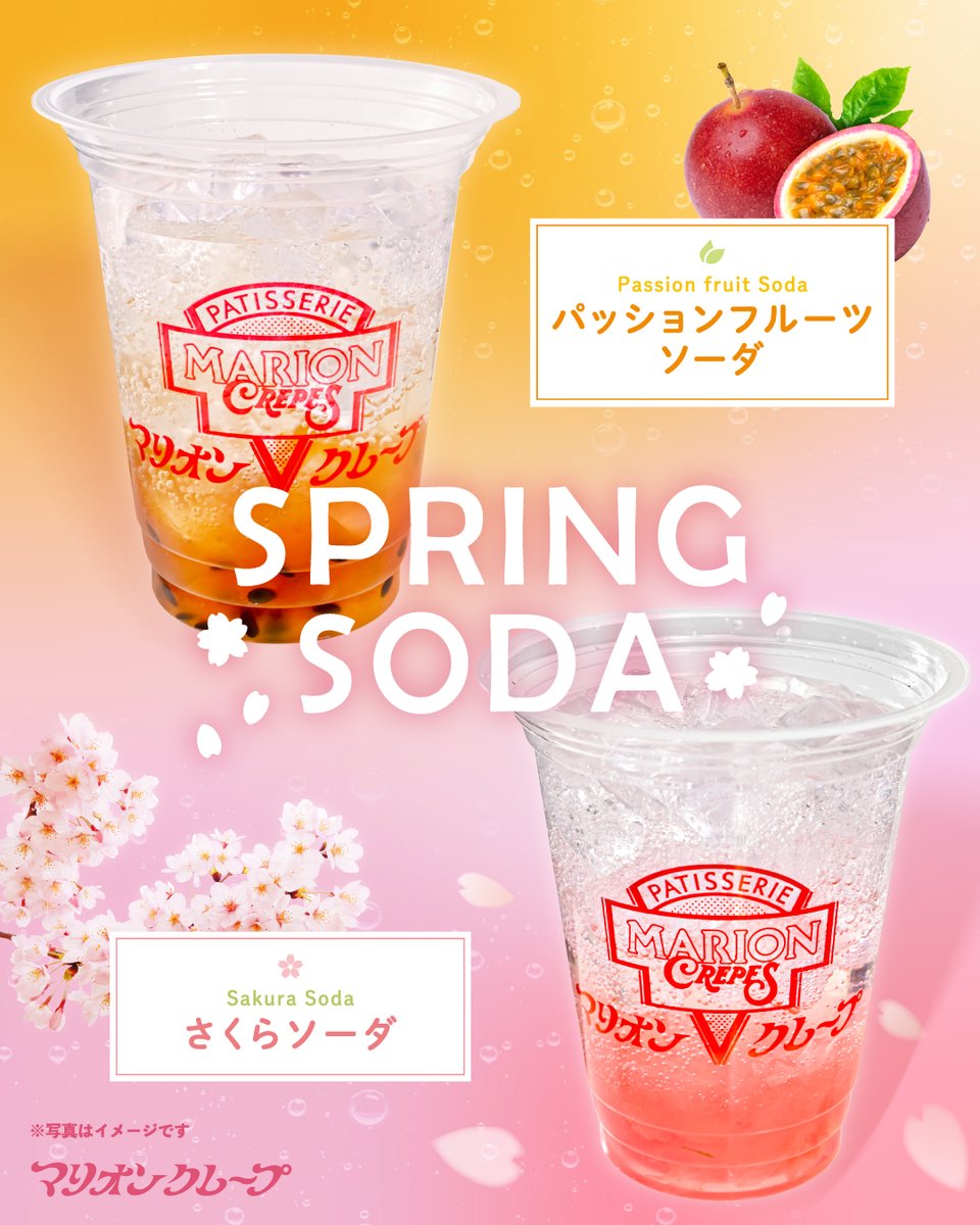 ⋱ 🌸🍊2026.3.1~START🍹🌸 ⋰ #マリオンクレープ から 春限定の
