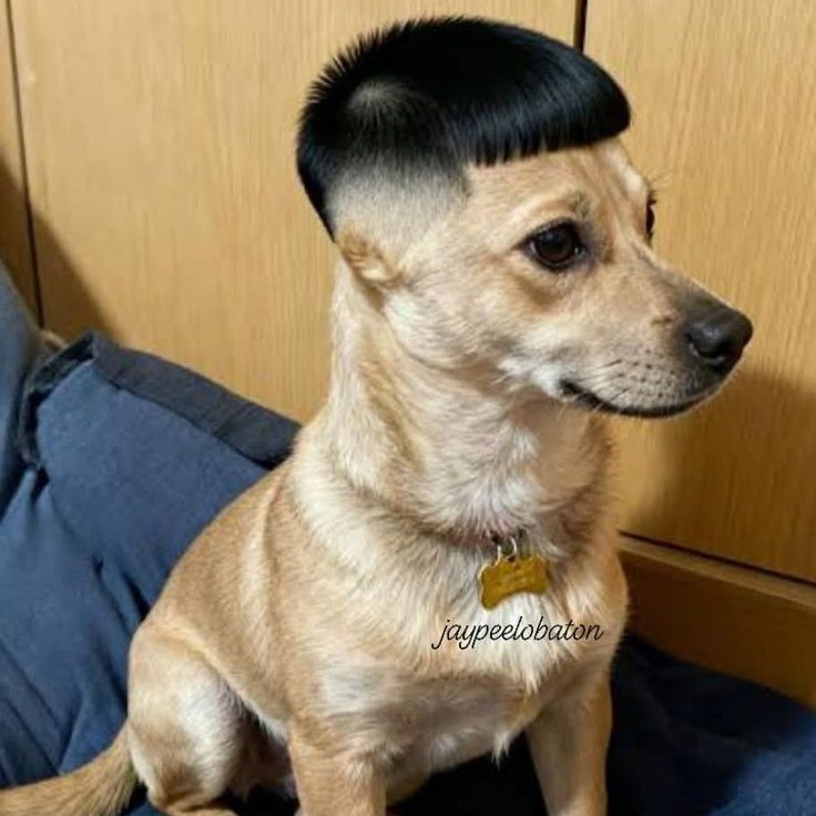 literally him 😭😭😭