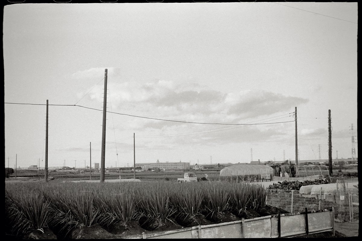 この写真、じんわり好きだわぁ…！