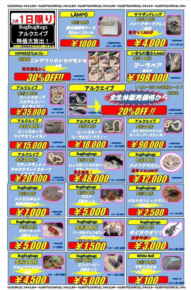 REPTILES CIRCLE tweet media