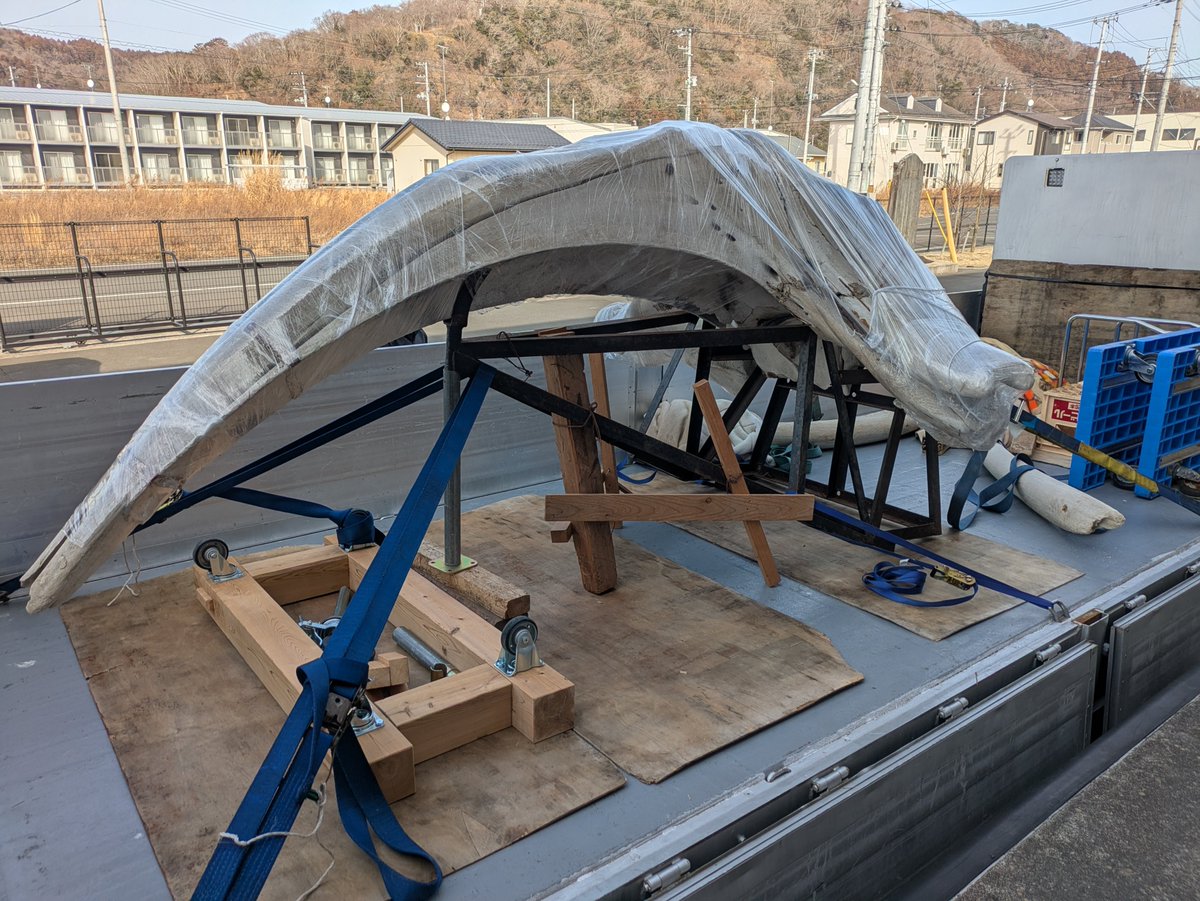 本日、セミクジラ頭骨標本の搬入作業が完了しました✨ この標本は鮎川