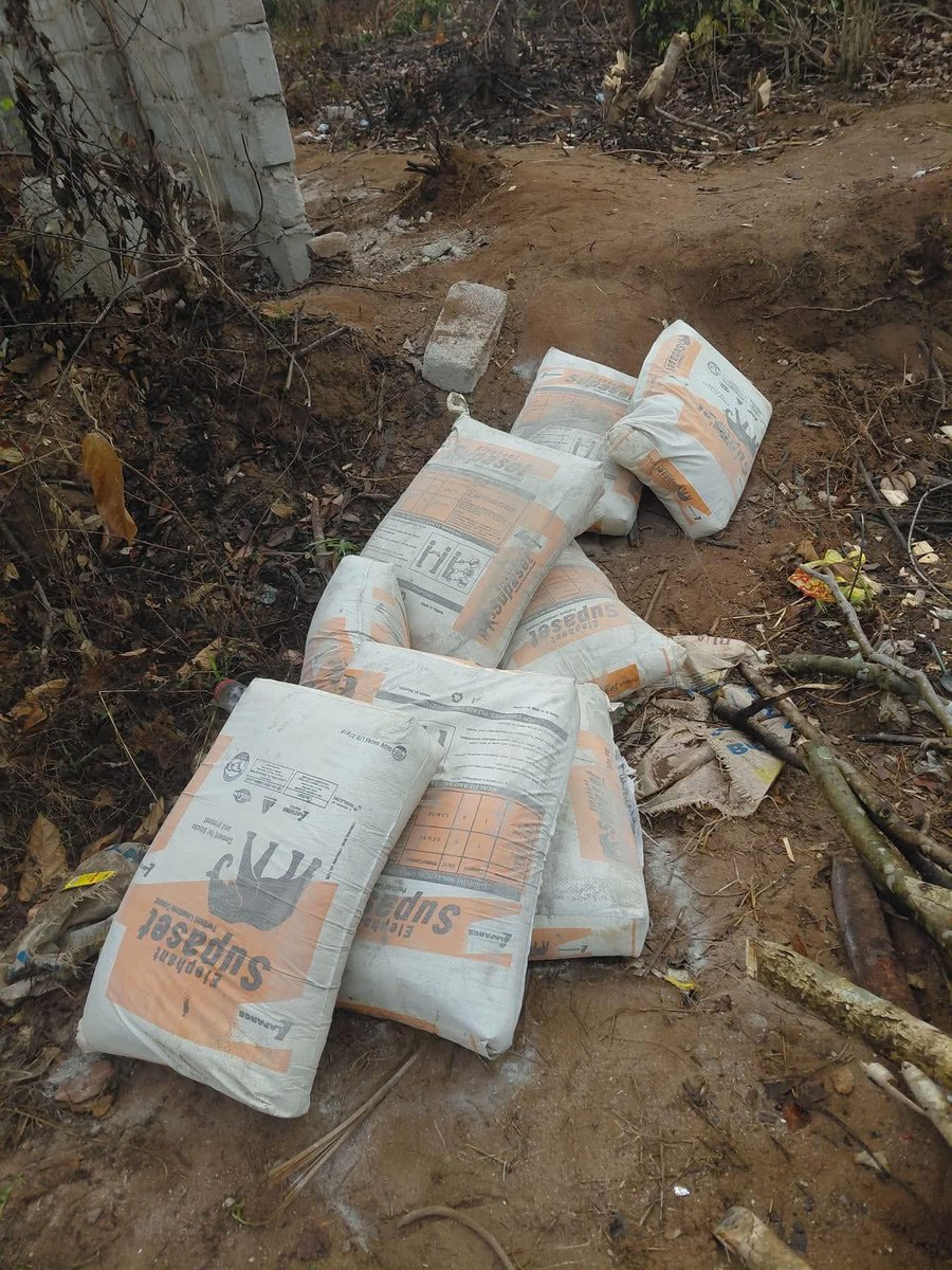 Theprolificthobby tweet media