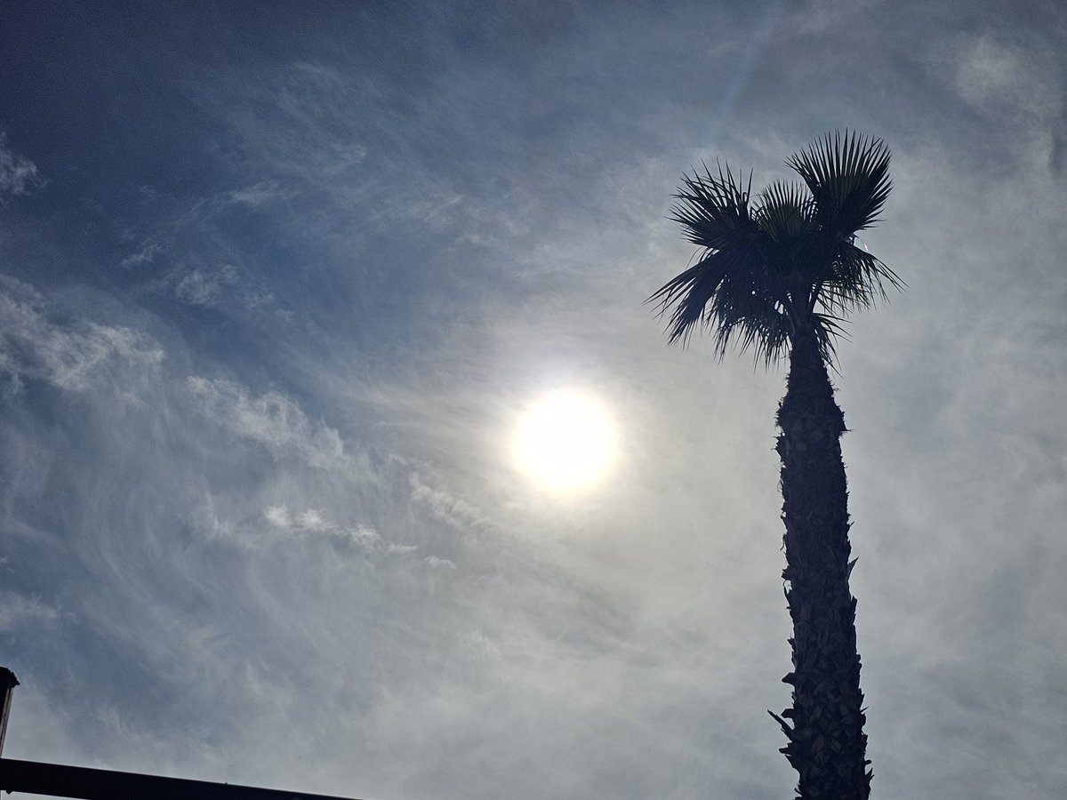 SpanglishBloke's tweet photo. Este Samsung agrega más vitalidad al azul cuando en realidad es azul pálido debido a la mierda venenosa en la atmósfera, pero lo hace resaltar.
#NotFuckingWater #Geoengineering #DeathFromAbove https://t.co/UjIMjD6YXe