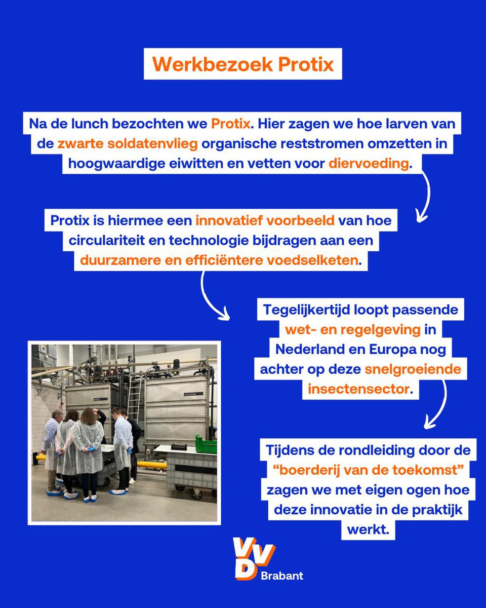 VVD Brabant tweet media