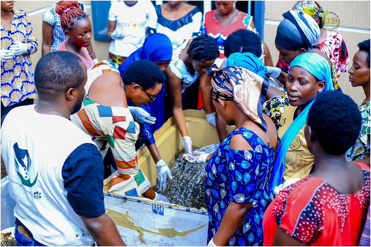 burundiIJCD's tweet image. 🌍 Une semaine après la collecte des #déchets biodégradables, femmes &amp;amp; jeunes sont passés à l’action ♻️
Fabrication de #compost naturel + fertilisant issu des #larves de mouches noires 🐛 (riche en nutriments).
Première installation en #agriculture verticale 🌱
👉 Produire sur de