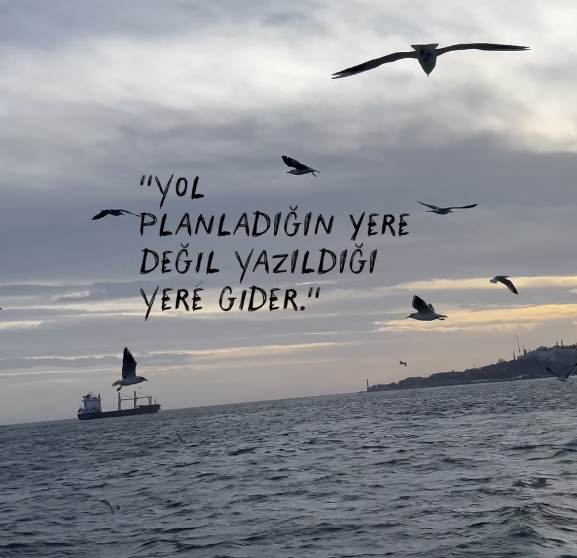 umran_cetinn's tweet photo. https://t.co/aH0lEmwz2K