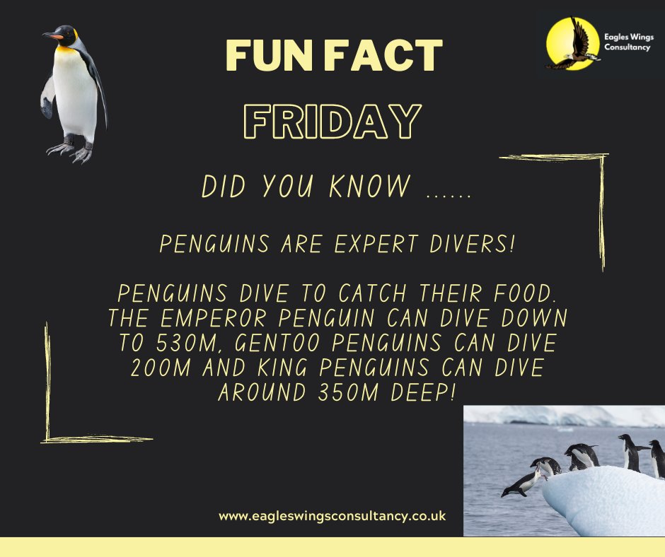 John McDonald tweet media