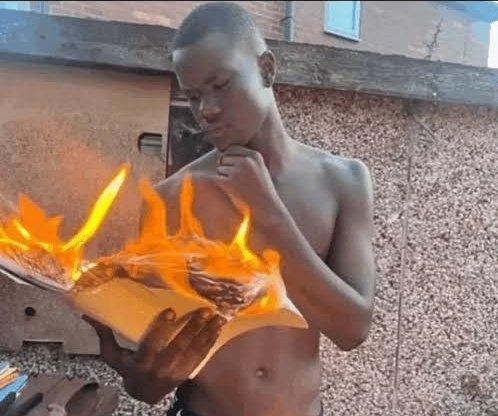 Negative Utilitarian  (@umm_rit_) on Twitter photo 