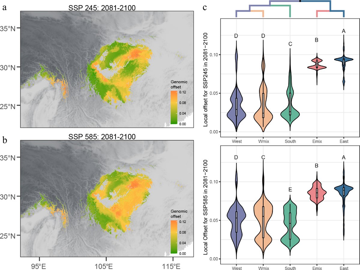 Forestry Research tweet media