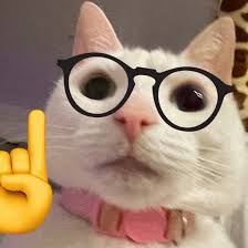 Metricool ES tweet media