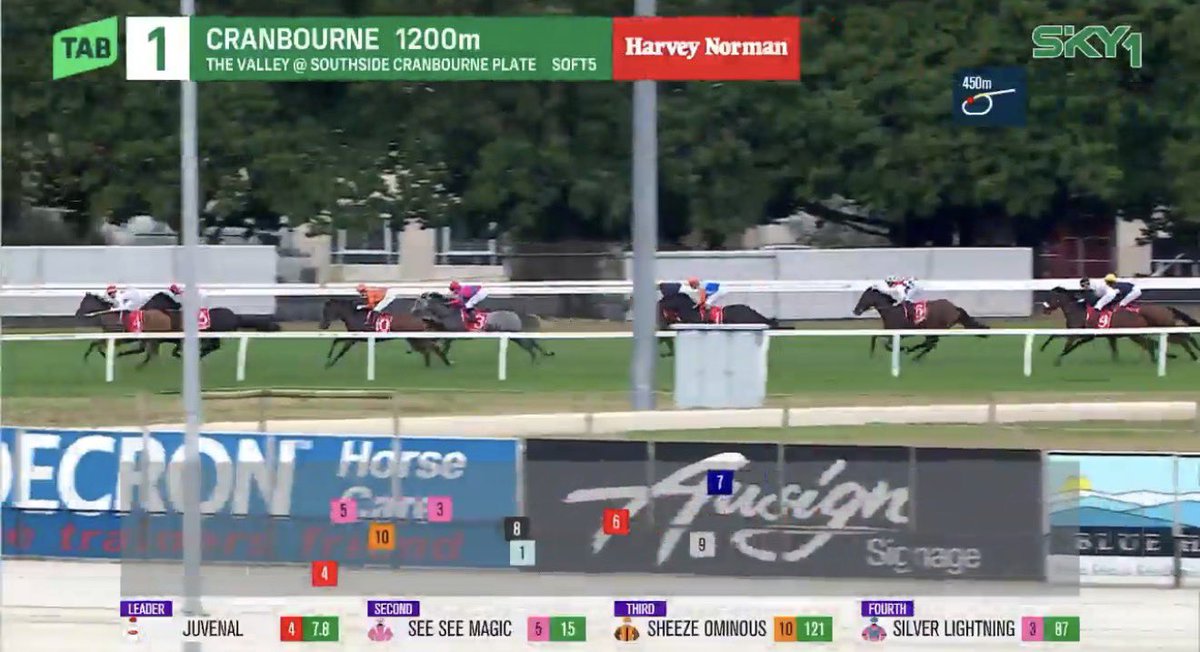 The Degenerate Punter tweet media