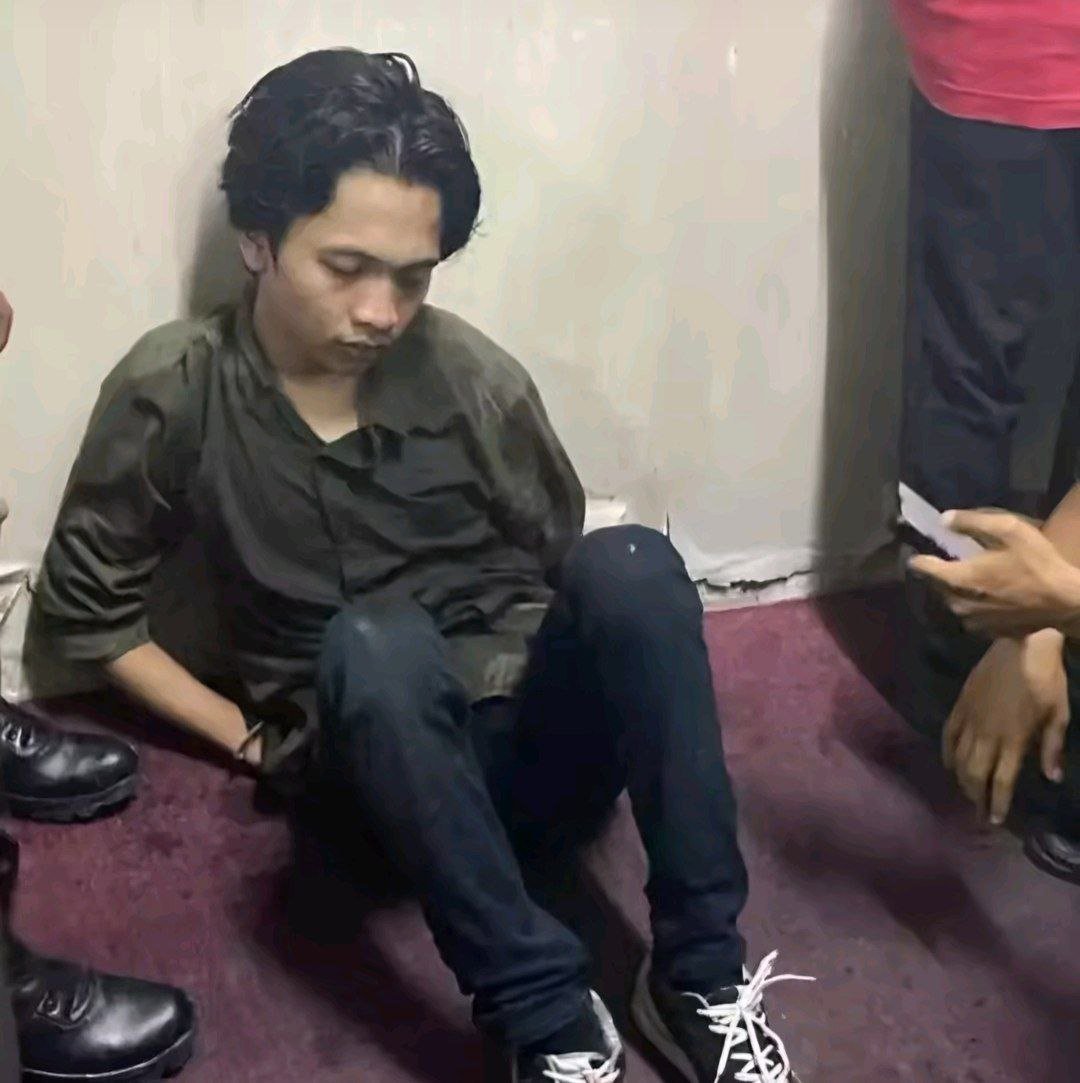 Daniella tweet media