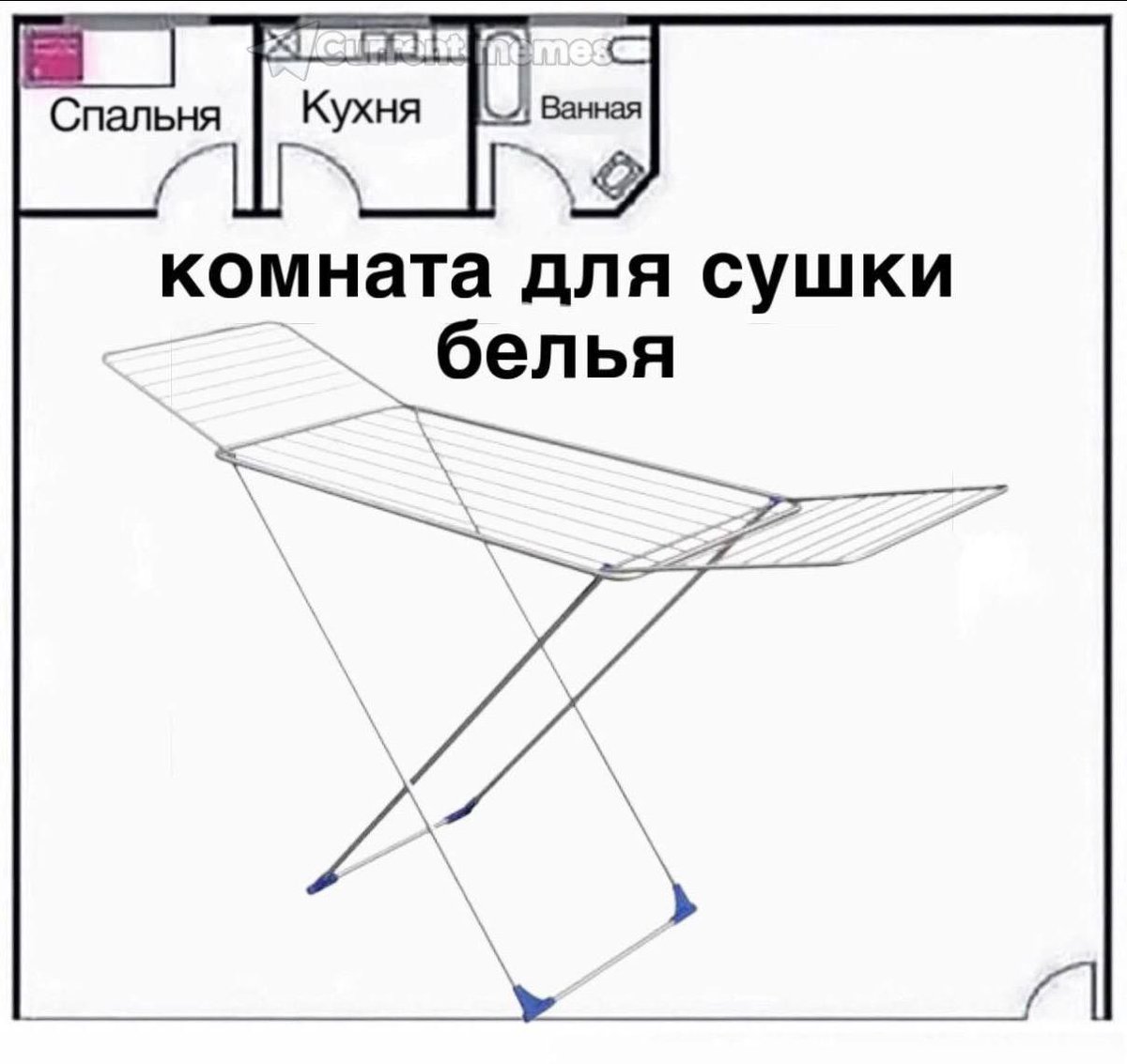 🐸Великое Колено🐸 tweet media