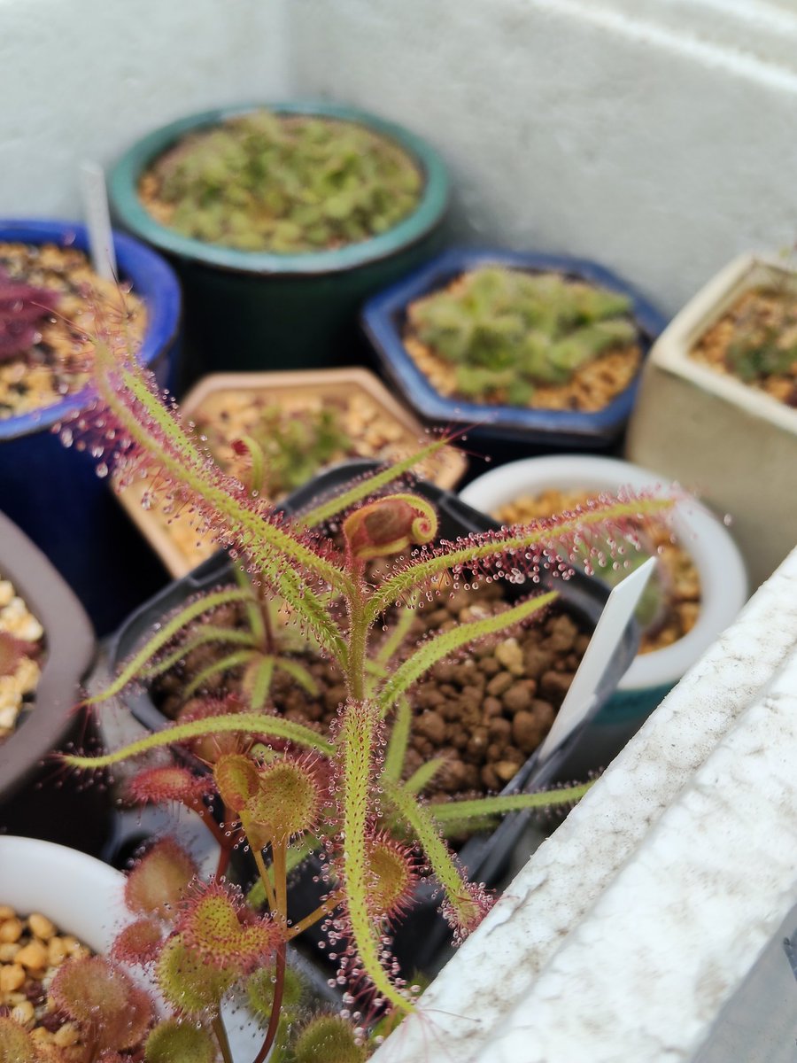 鍵の君 (@kaginokimi0077) / Posts / X