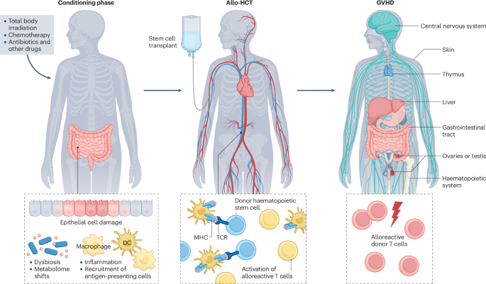 Nature Reviews Cancer tweet media