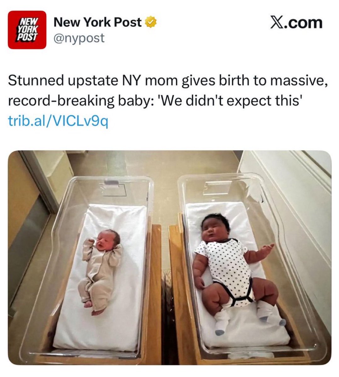 justalexoki's tweet photo. imagine being mogged like this on literally your first day in life https://t.co/CJn8IxBKd2