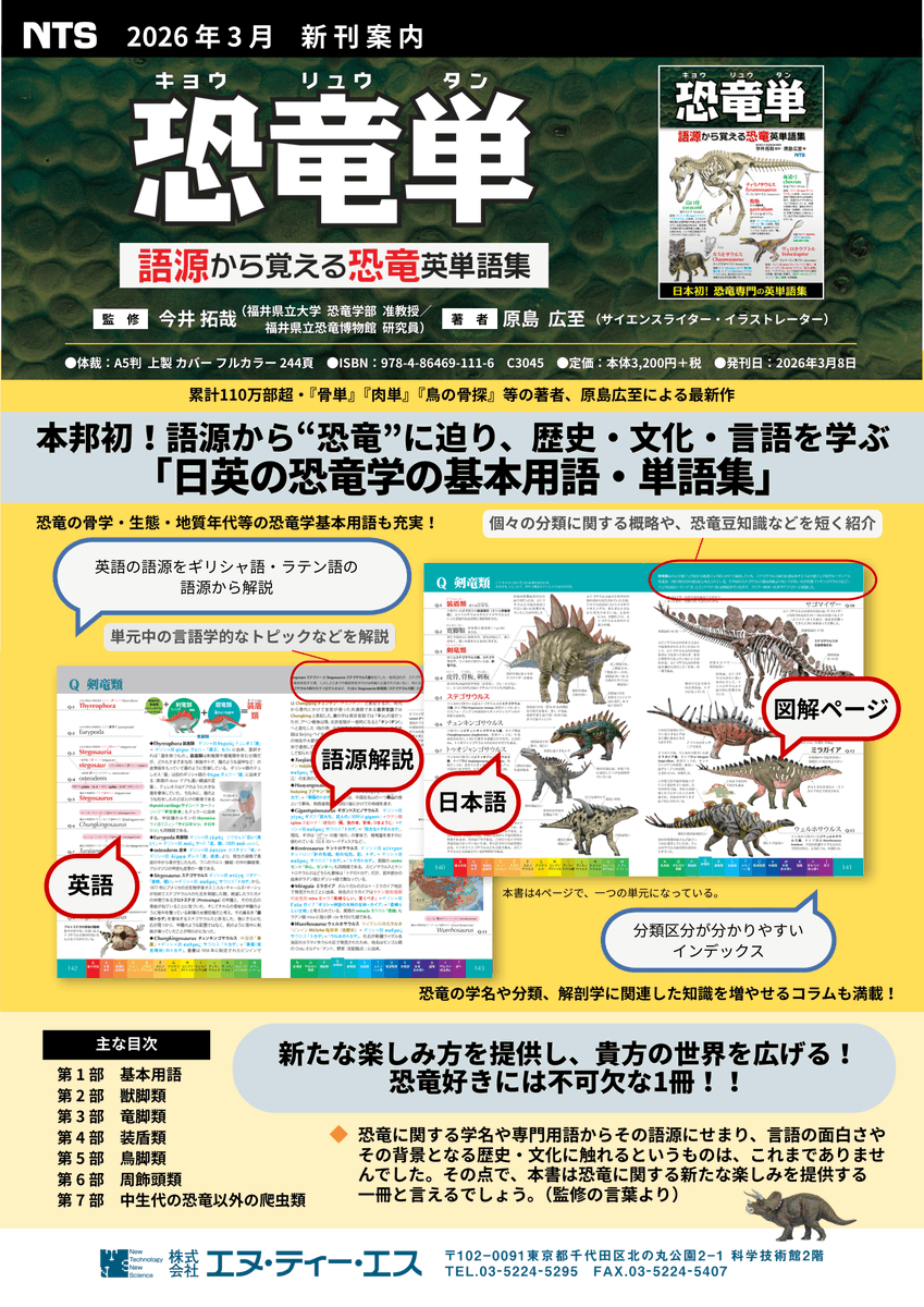 エヌ・ティー・エス【公式】 tweet media