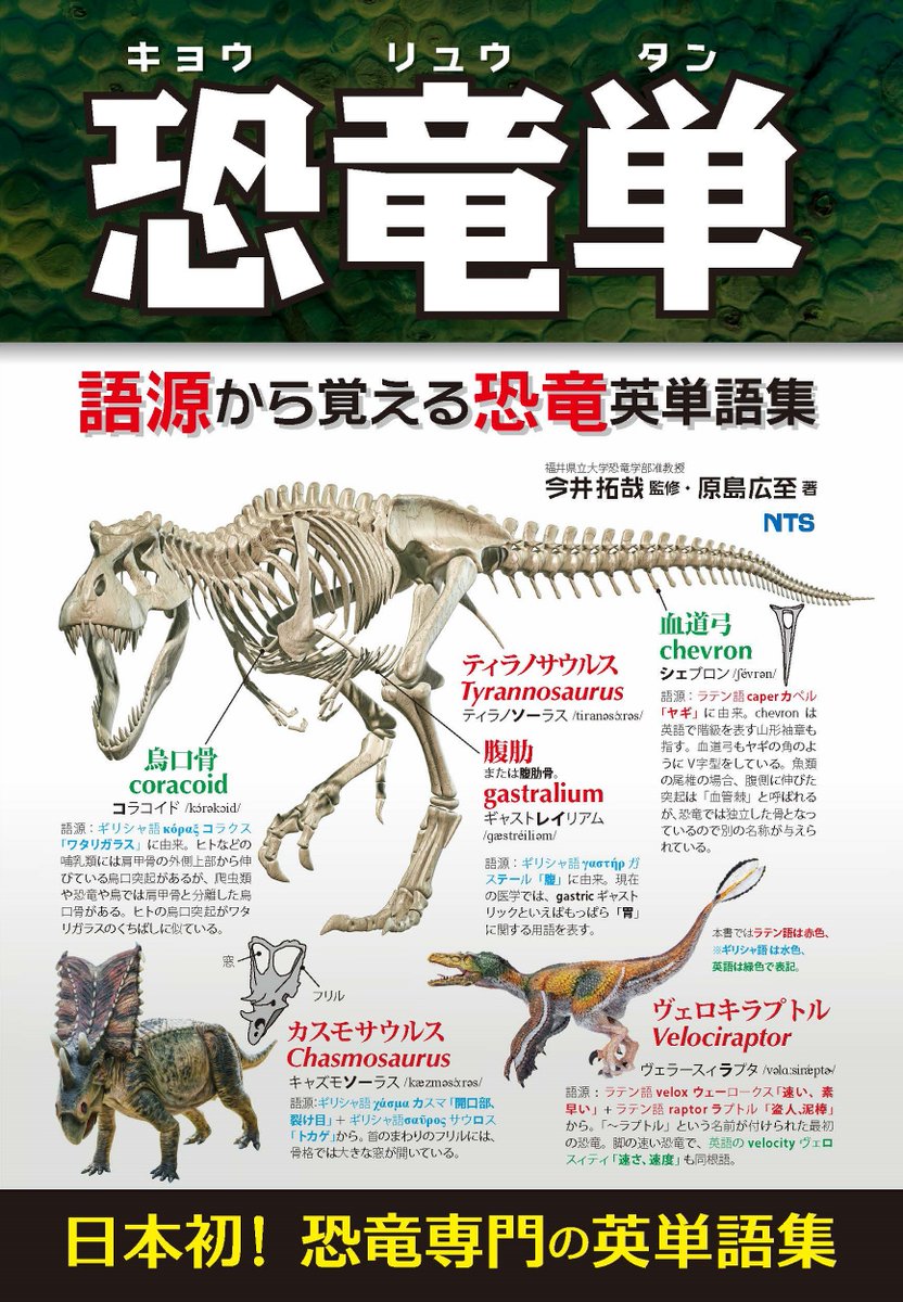 エヌ・ティー・エス【公式】 tweet media