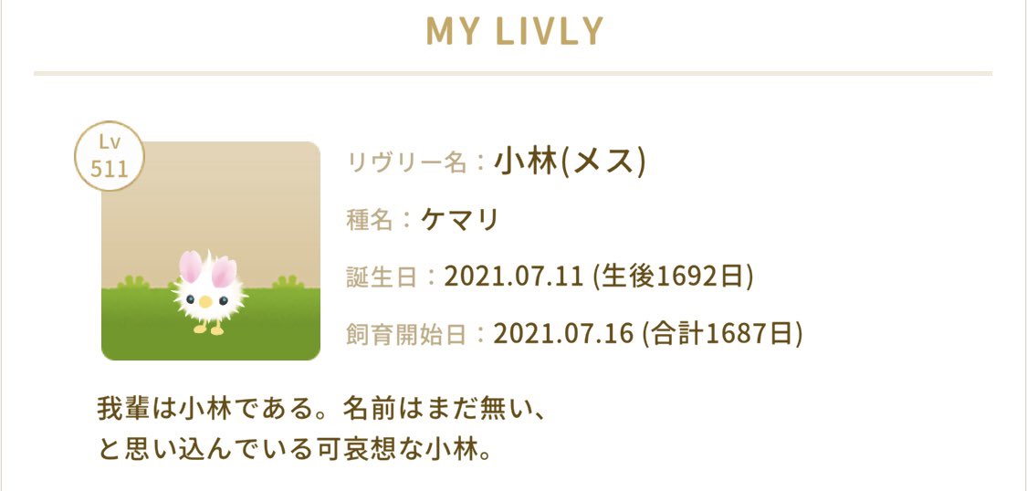 ありちゃんです tweet media