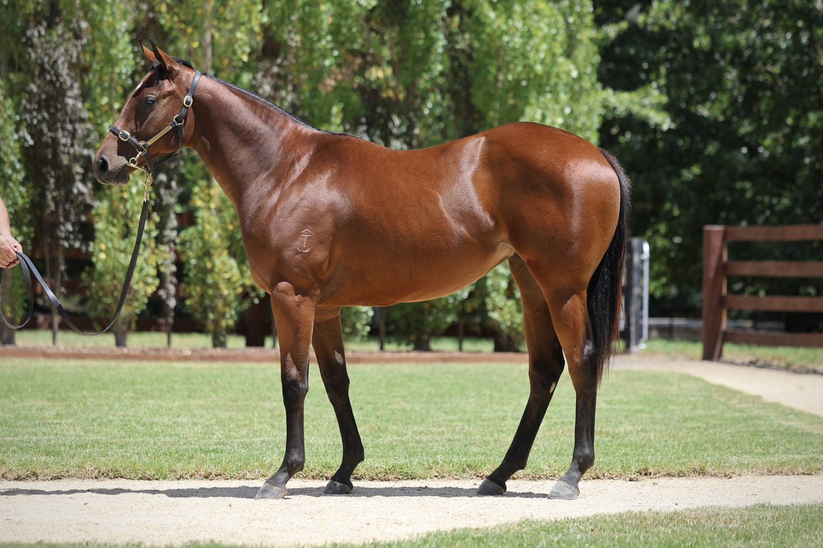 Riverstone Lodge tweet media