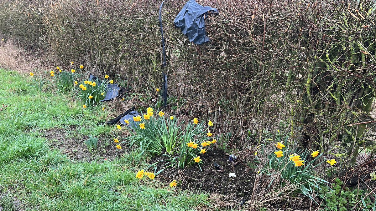 Farmer Tom 🇬🇧 🇺🇦 tweet media