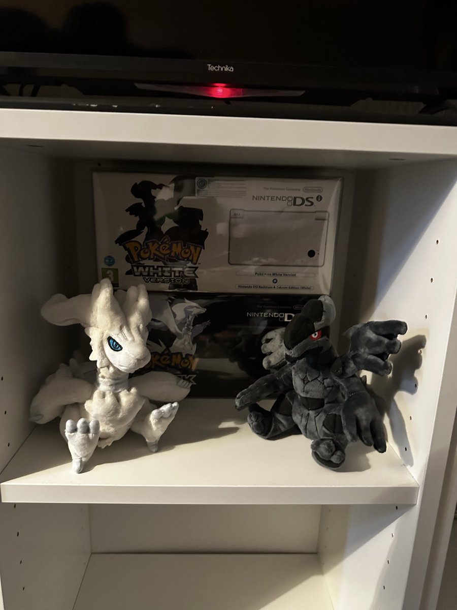 Connor Bird tweet media