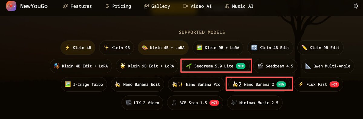 Nano Banana 2 and Seedream 5.0 Lite image model on NewYouGo
newyougo.com