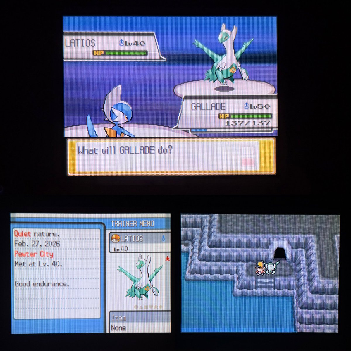 NOT EVEN 20 MINUTES LATER?! Shiny✨Latios✨in Heartgold after 2,578 resets. Caught in a FAST BALL! Best #PokemonDay ever and it’s only been 2 hours.😭