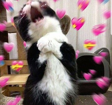 آنشرلی کاتبرت tweet media