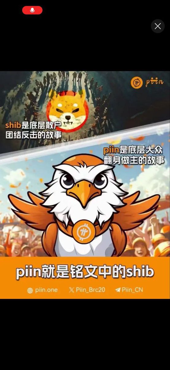 piin🦅盧 tweet media