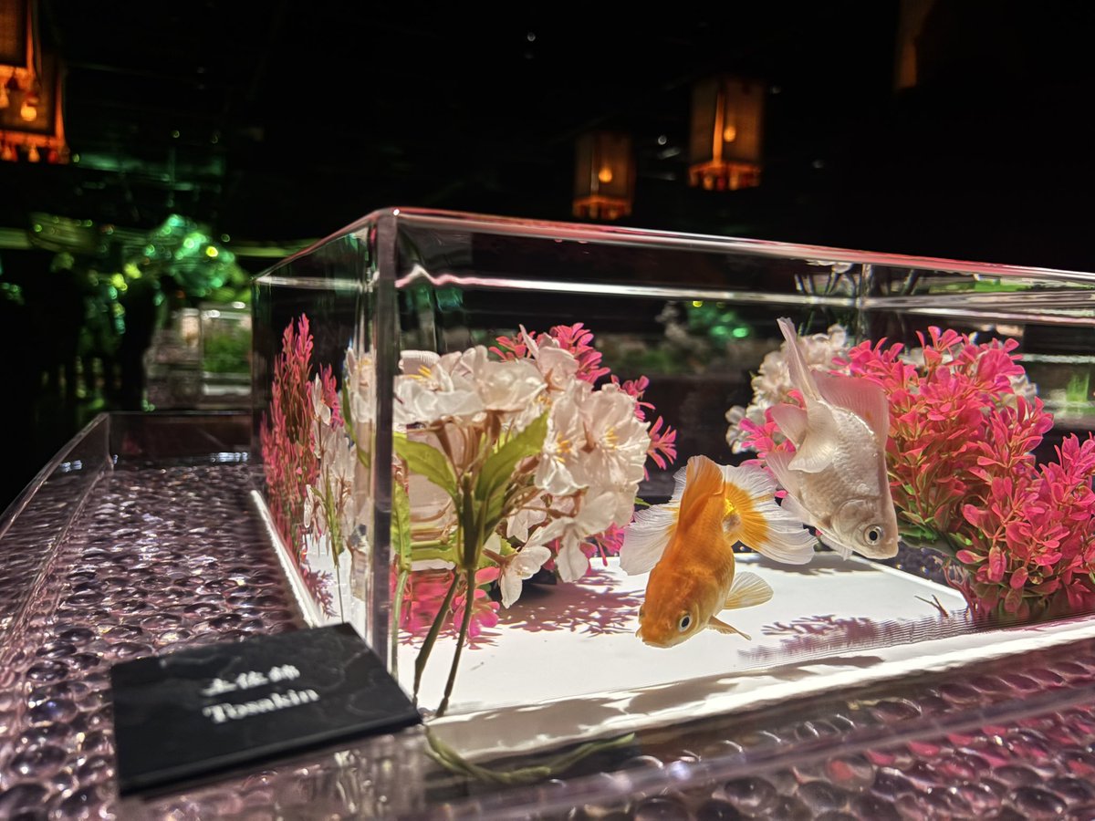 ot_mhmh's tweet photo. #GalaxyS26Ultra #先回りするAIフォン #アートアクアリウム https://t.co/iBs5YGXWhn
