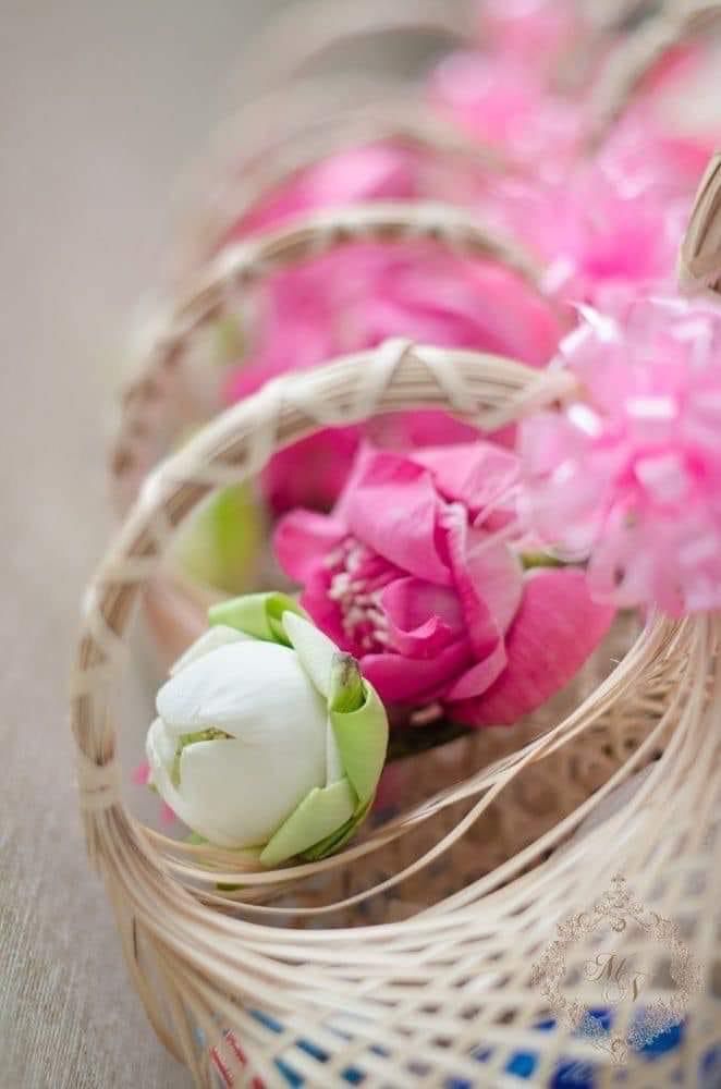 Cennet meyvesi rızkınız olsun... 
Susuzlugunuz zemzemle son bulsun... 
Uykunuz zikir... 
Kalbiniz nur... 
Diliniz dua... 
Ruhunuz hep Allah ile olsun..

Aminnn...
☺️🪷
Hayırlı sabahlar hayırlı cumalar 🌹 🤲