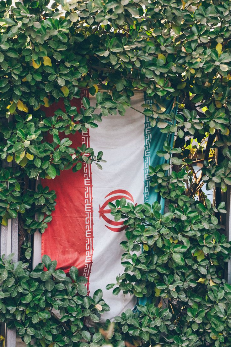 صّــارِمـــ tweet media