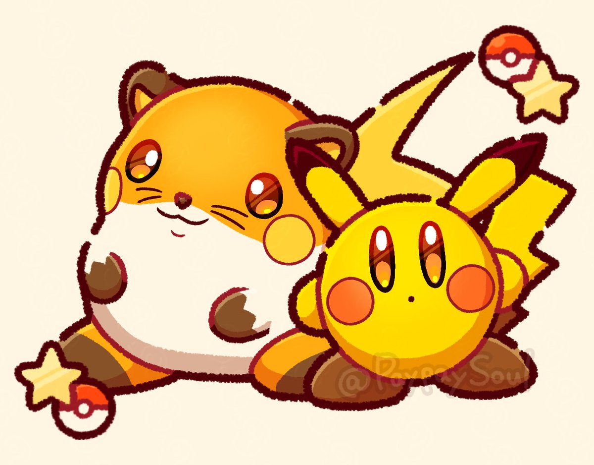 ピカチュウとライチュウ…？⚡️