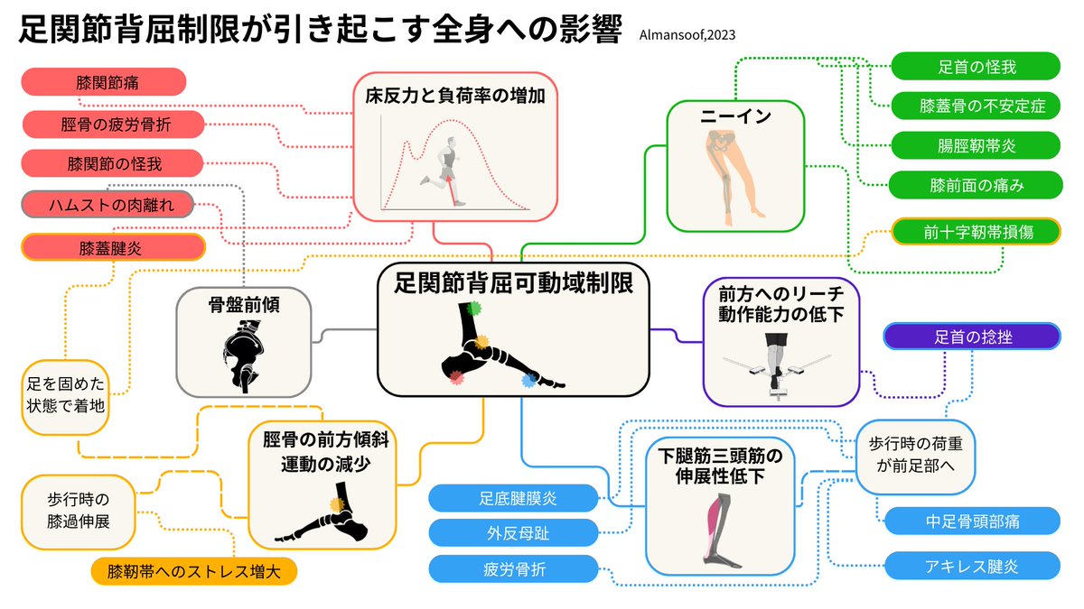 pttiger0228's tweet photo. 【ビジュアルで学ぶ足部セミナーシリーズ】
第1回のテーマはこれ。

「足関節背屈制限のメカニズム」
背屈制限は臨床で遭遇頻度が高く、
歩行・スクワット・ランジなどの基本動作から
足部〜膝・股関節まで幅広く影響。

“下腿三頭筋アプローチ偏重”から卒業して、
 原因組織を見極めるところまで整理します。

【内容（予定）】
・足関節の機能と役割
・足関節のバイオメカニクス
・距腿関節と距骨下関節の関係
・足関節に関わる筋肉／神経
・背屈制限の定義／評価
・原因組織
・運動連鎖
・介入
3Dアニメーションで立体理解へ。

詳細👇
https://t.co/i9uwkCwAyz