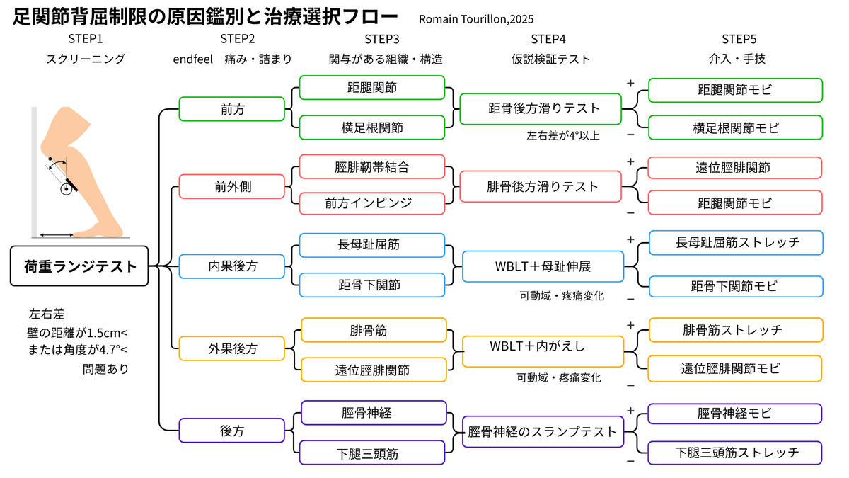 pttiger0228's tweet photo. 【ビジュアルで学ぶ足部セミナーシリーズ】
第1回のテーマはこれ。

「足関節背屈制限のメカニズム」
背屈制限は臨床で遭遇頻度が高く、
歩行・スクワット・ランジなどの基本動作から
足部〜膝・股関節まで幅広く影響。

“下腿三頭筋アプローチ偏重”から卒業して、
 原因組織を見極めるところまで整理します。

【内容（予定）】
・足関節の機能と役割
・足関節のバイオメカニクス
・距腿関節と距骨下関節の関係
・足関節に関わる筋肉／神経
・背屈制限の定義／評価
・原因組織
・運動連鎖
・介入
3Dアニメーションで立体理解へ。

詳細👇
https://t.co/i9uwkCwAyz