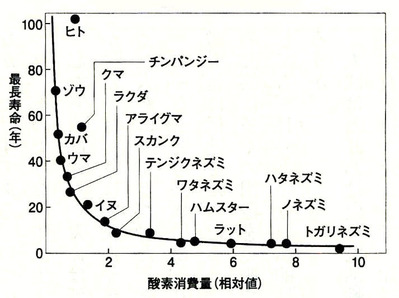 isisis85's tweet photo. 最長寿命と酸素消費量の関係

「ミトコンドリアの力」瀬名秀明、大田成男（新潮文庫、2007）」から https://t.co/SGxqIB4kEc