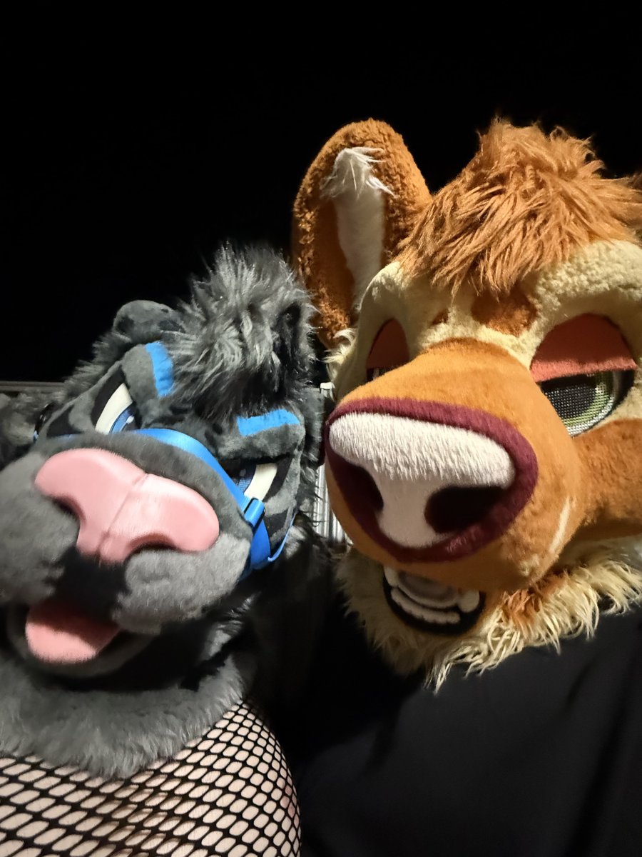 EmptySync ➡️ FurDu, MP tweet media