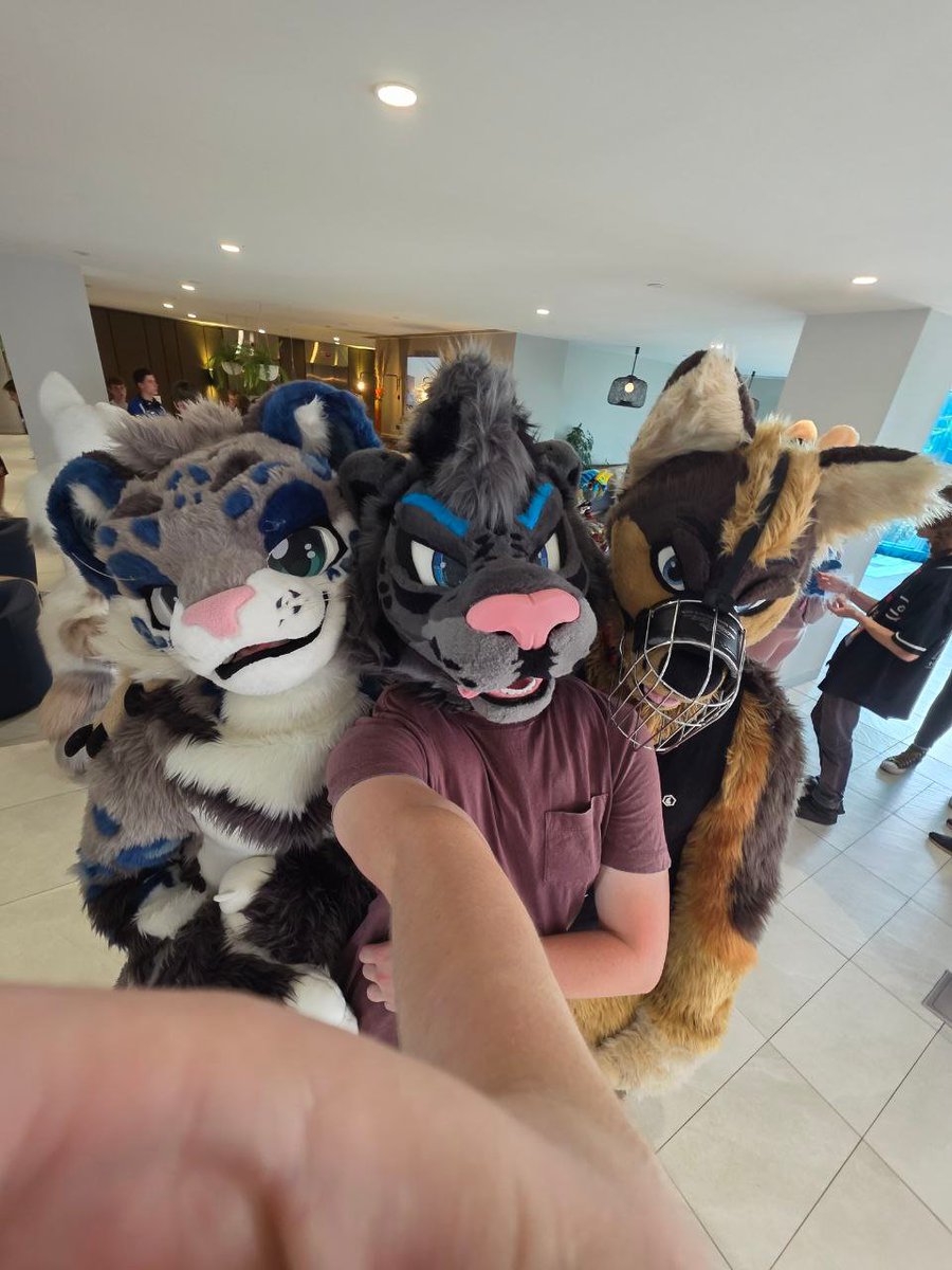 EmptySync ➡️ FurDu, MP tweet media