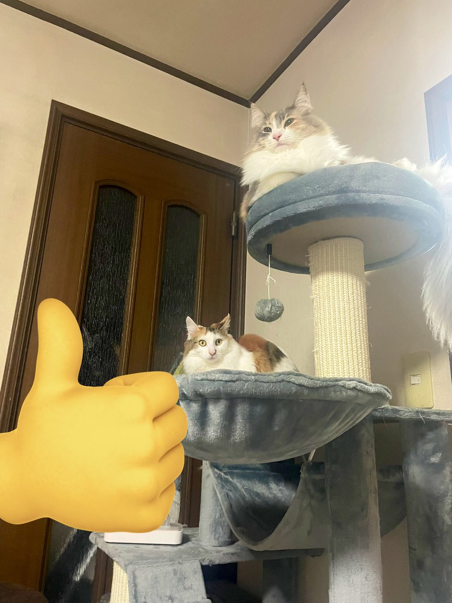 なんて幸せなんでしょう😃