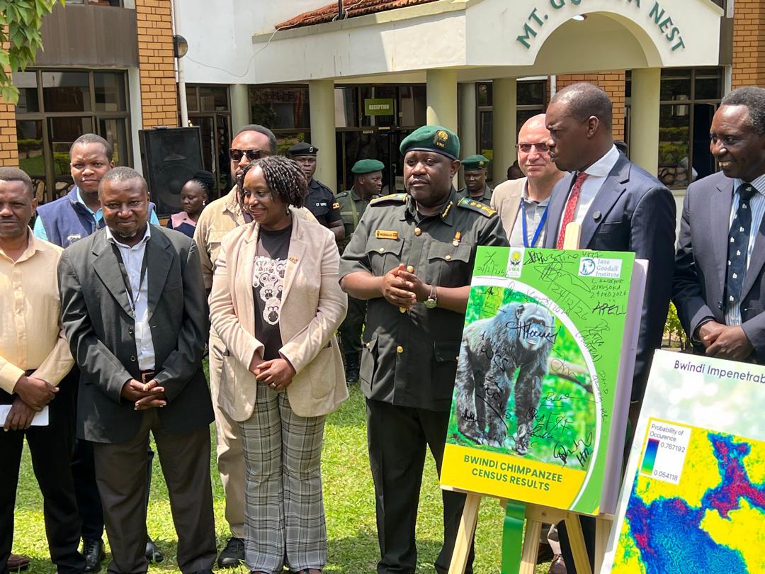 Volcanoes Safaris tweet media