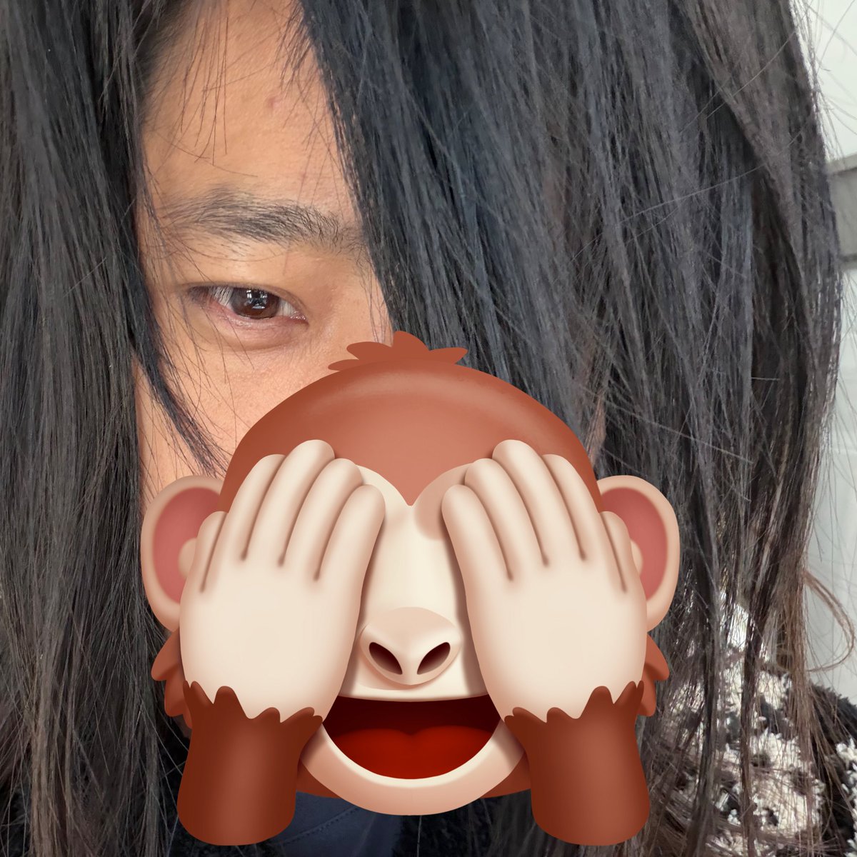 炼金叔叔 tweet media