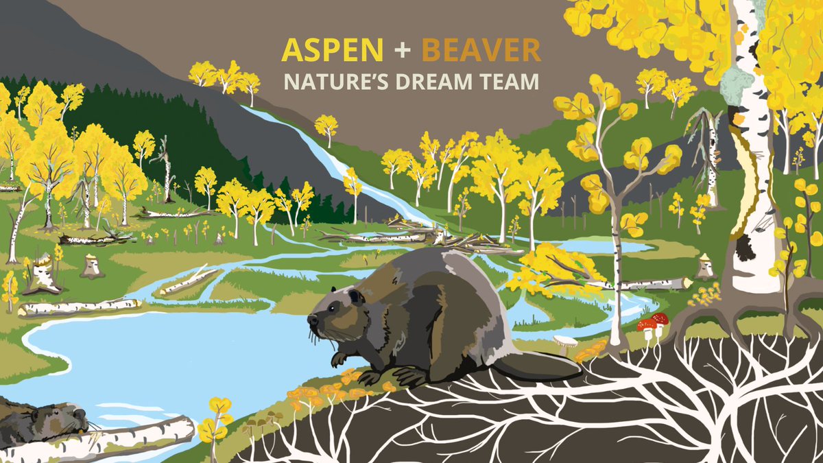 SCOTLAND: The Big Picture tweet media