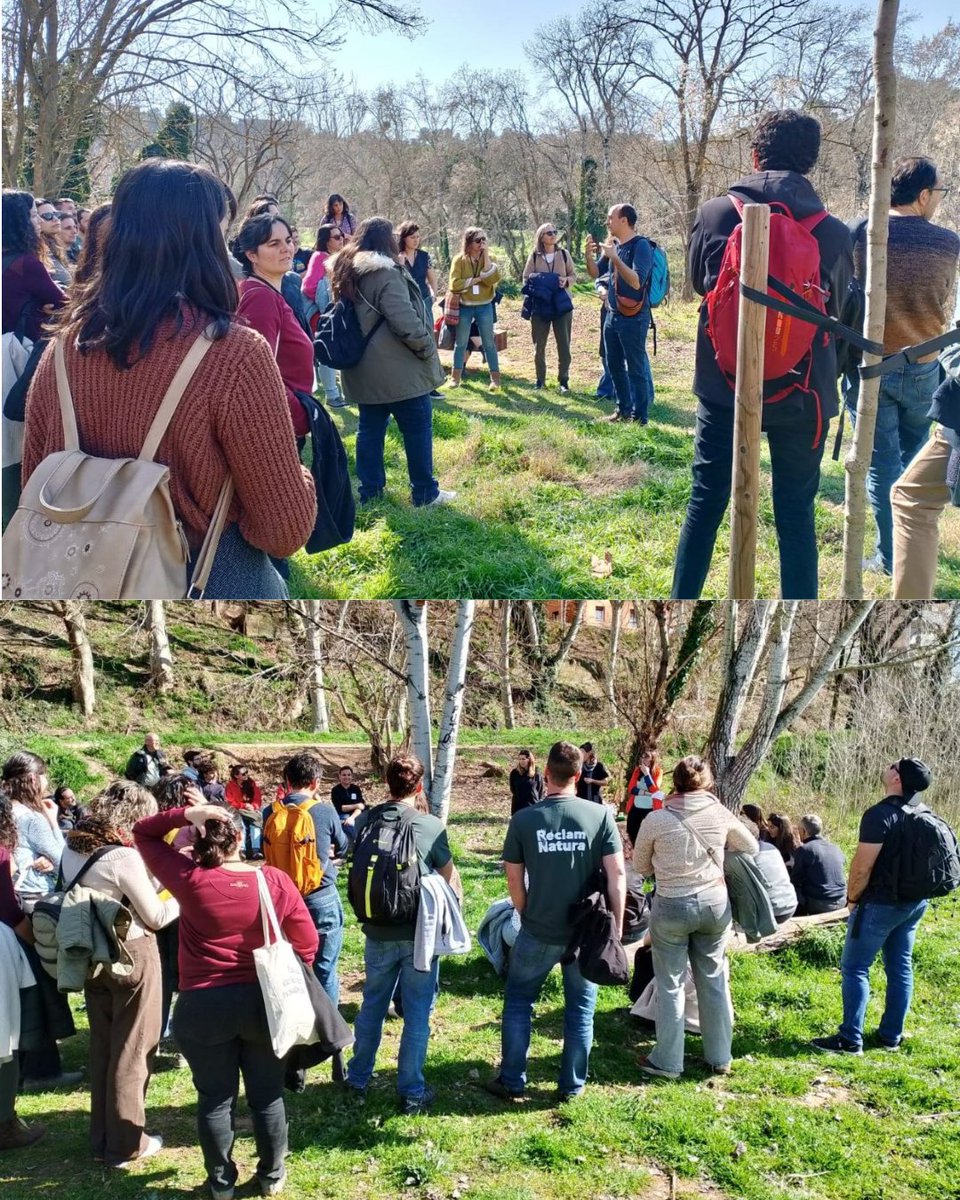 escolesverdes tweet media
