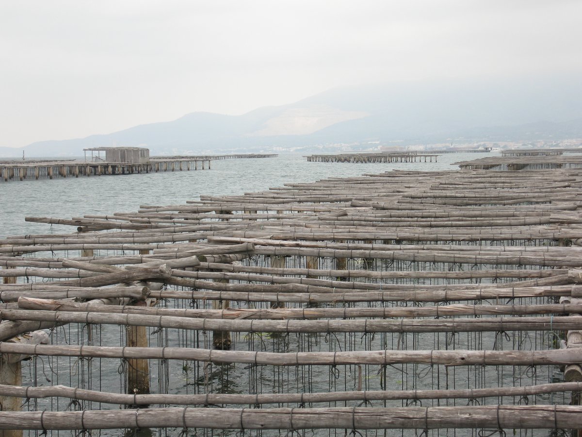 Instituto Español de Oceanografía (IEO-CSIC) tweet media