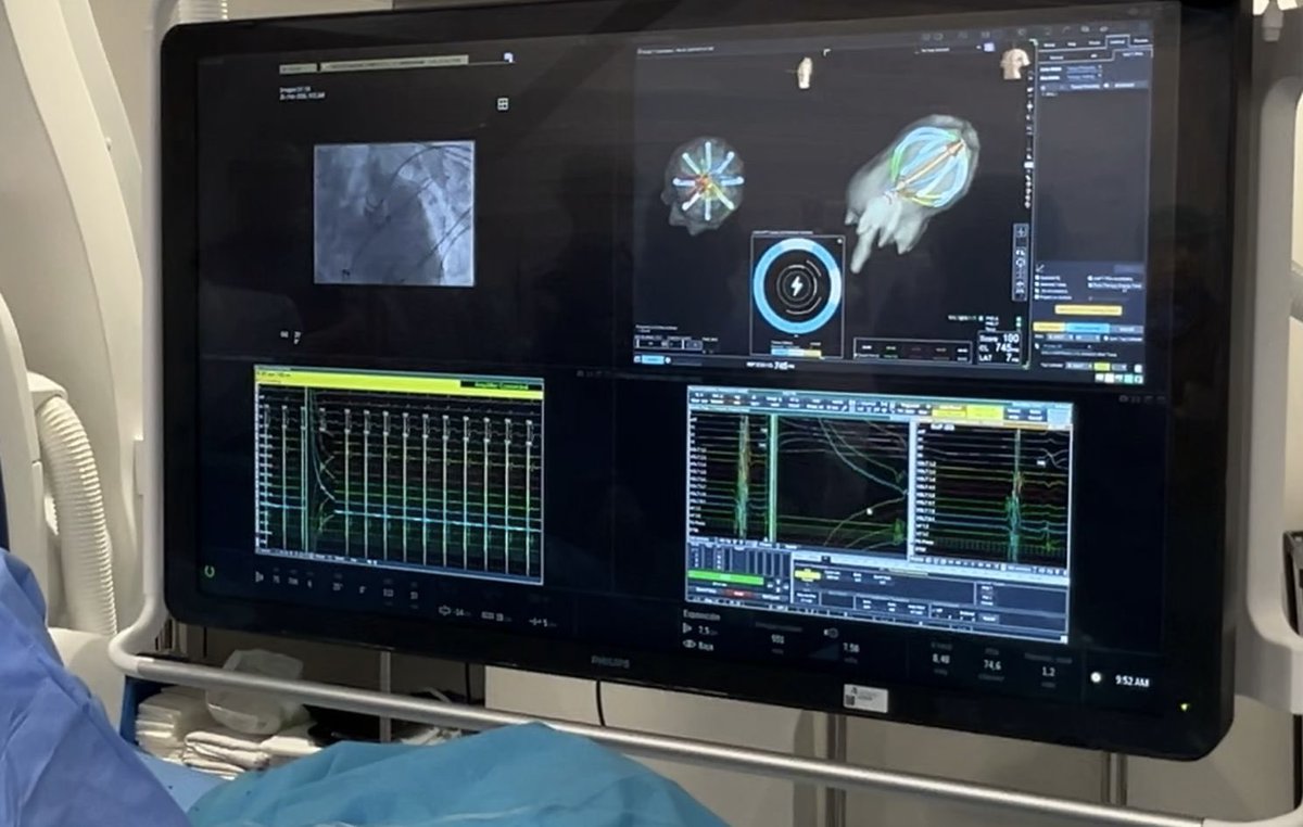 EfectoElectrotónico tweet media